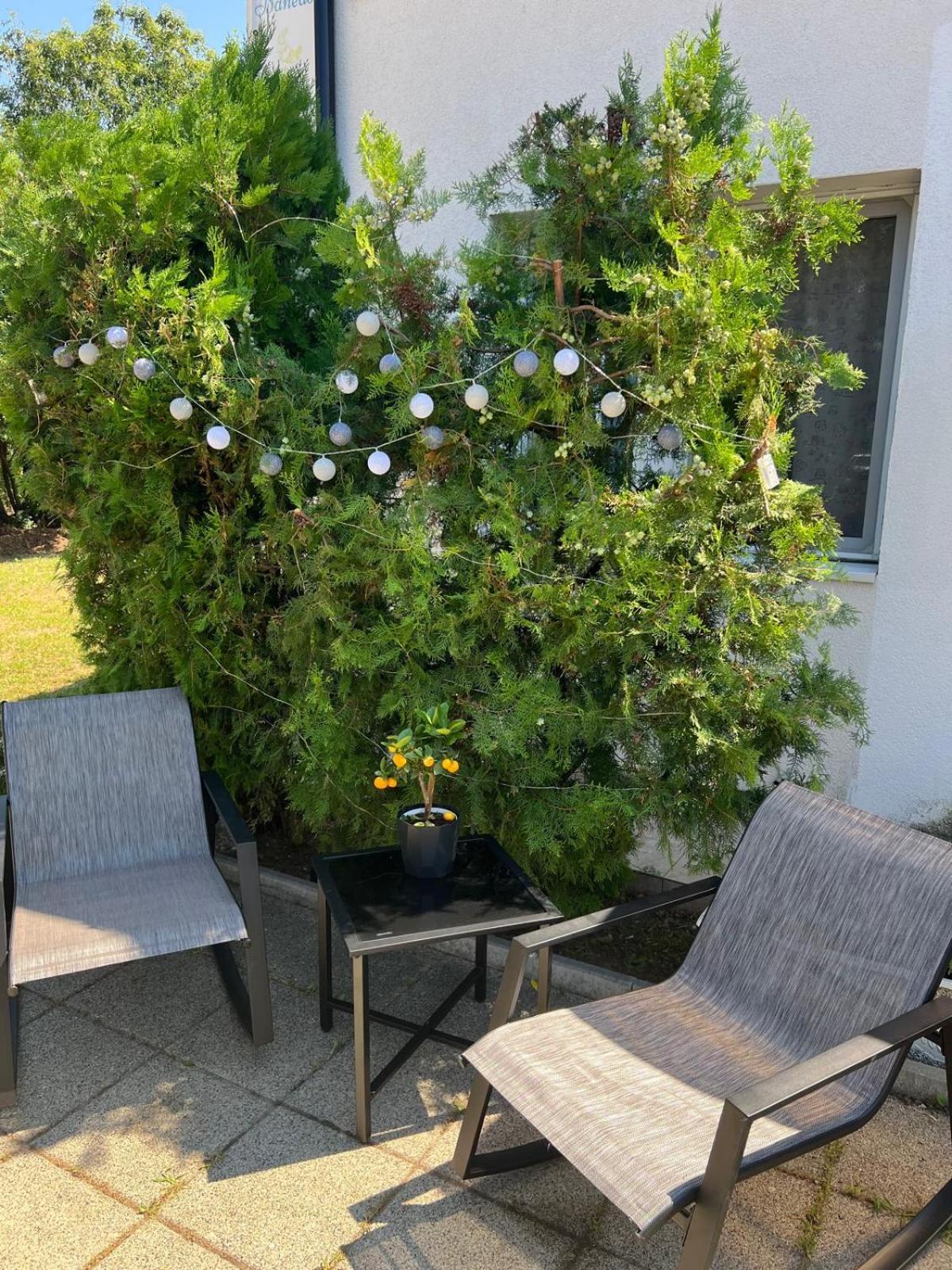 B&B Maria Бухарест Экстерьер фото